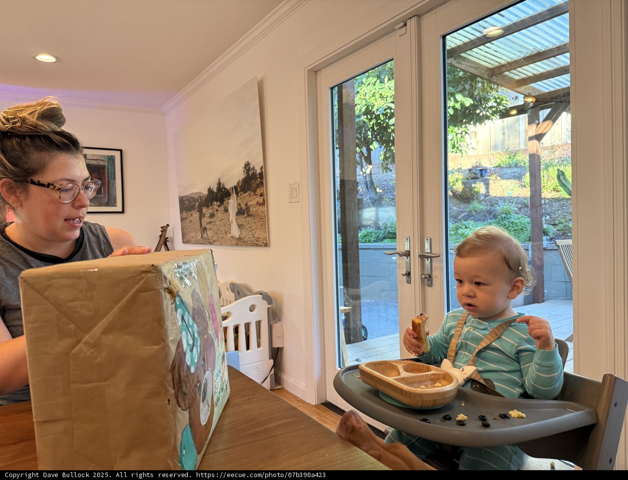 Morning Moments in the Dining Room