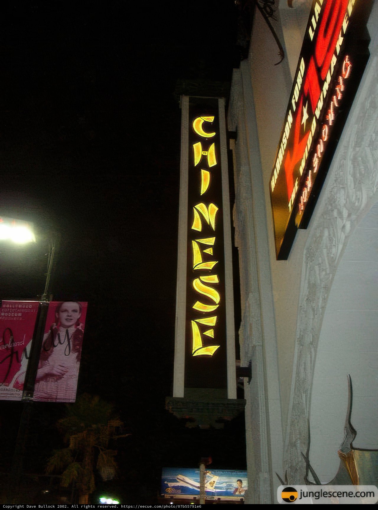 Chinese Restaurant Sign Illuminates the Night