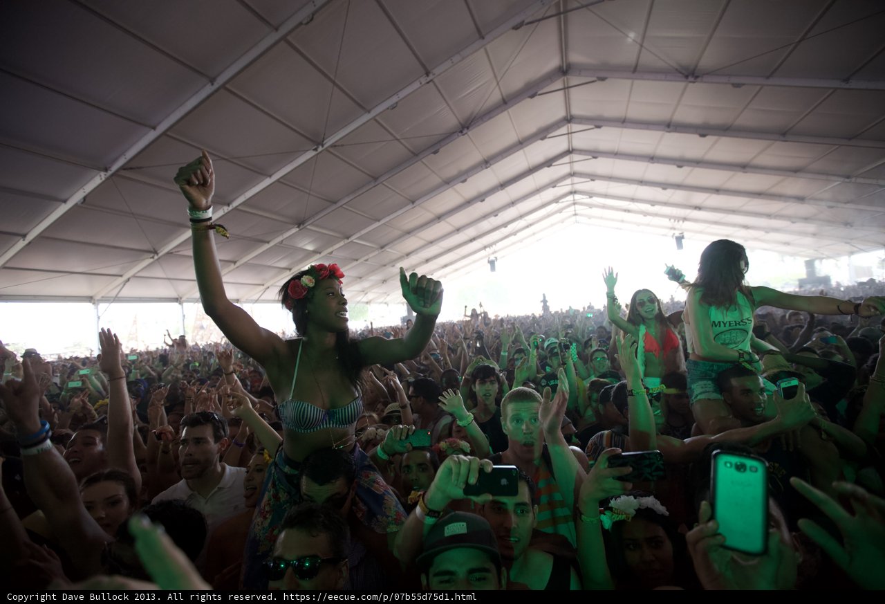 Festivalgoers Raise the Roof