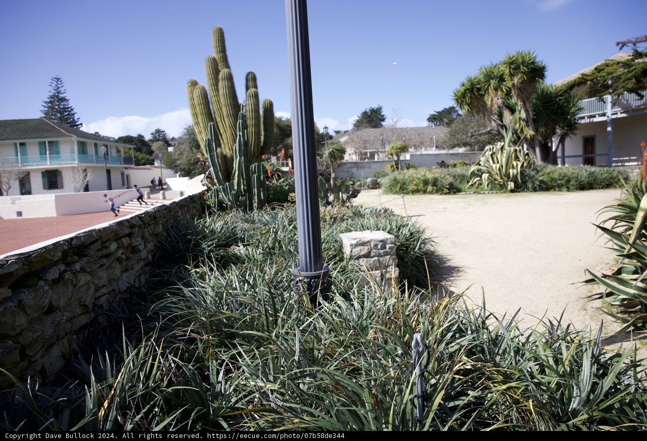 The Urban Oasis
