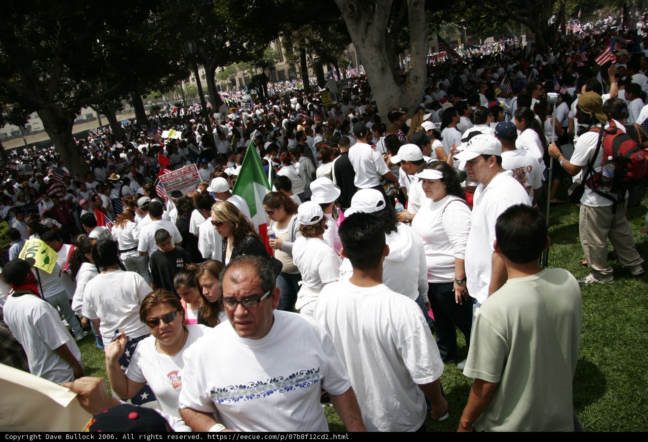 A Sea of White Hats and Shirts