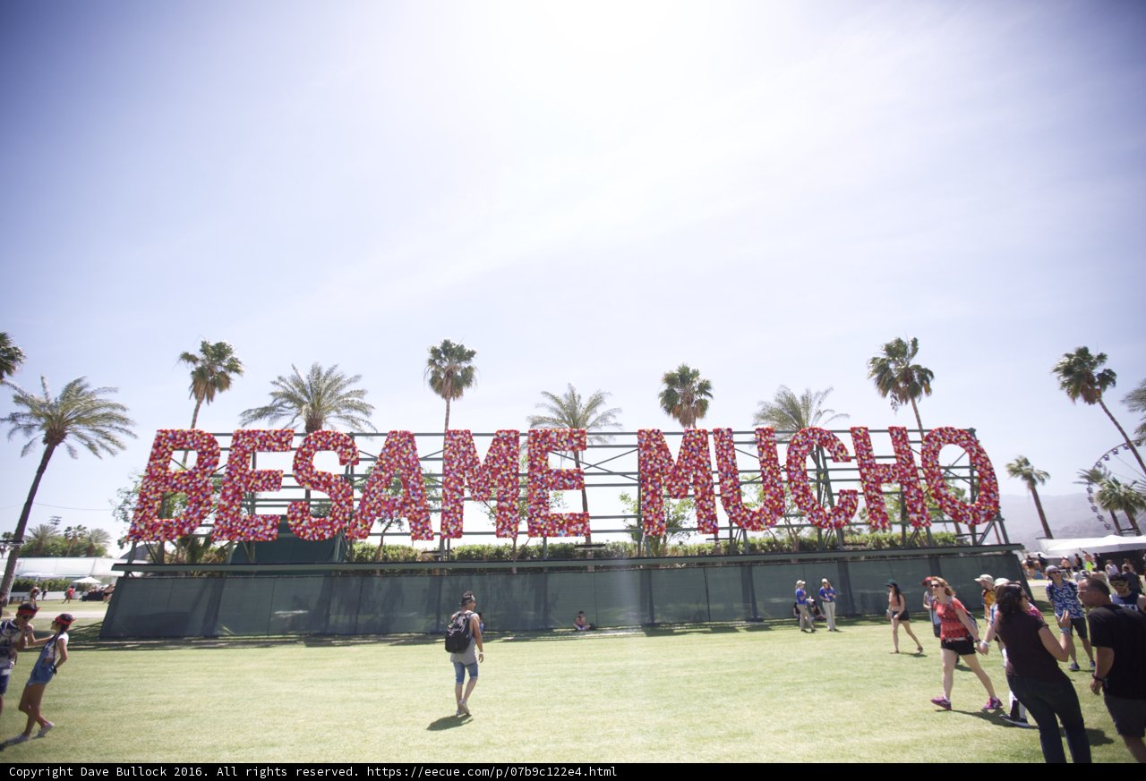 Fun in the Sun at Coachella