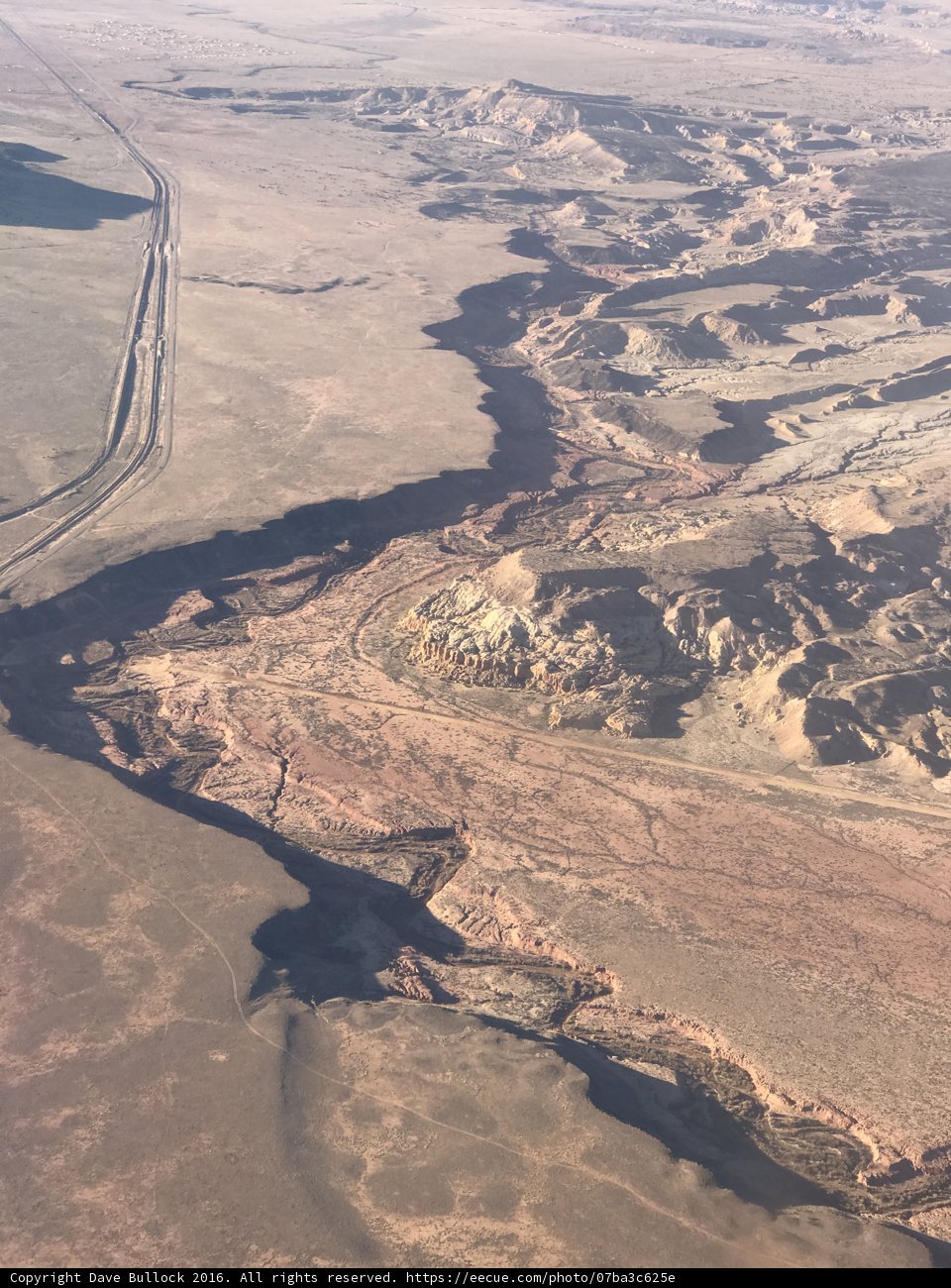 Desert Oasis