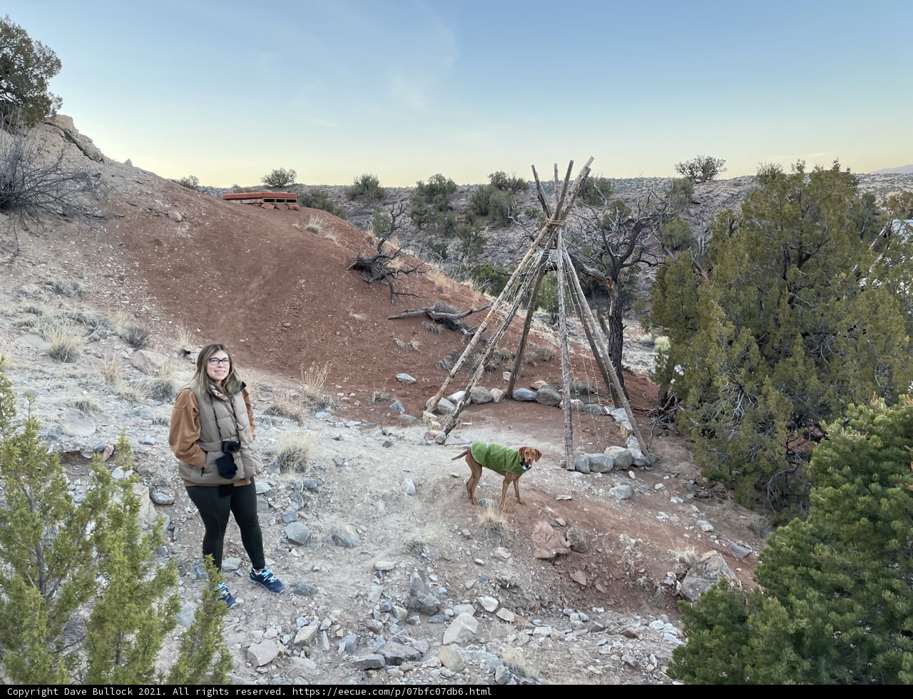 Standing Tall in the Wilderness