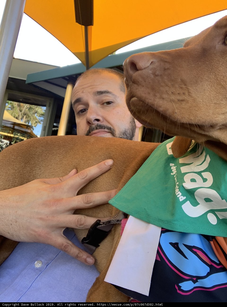 Man and his Furry Companion