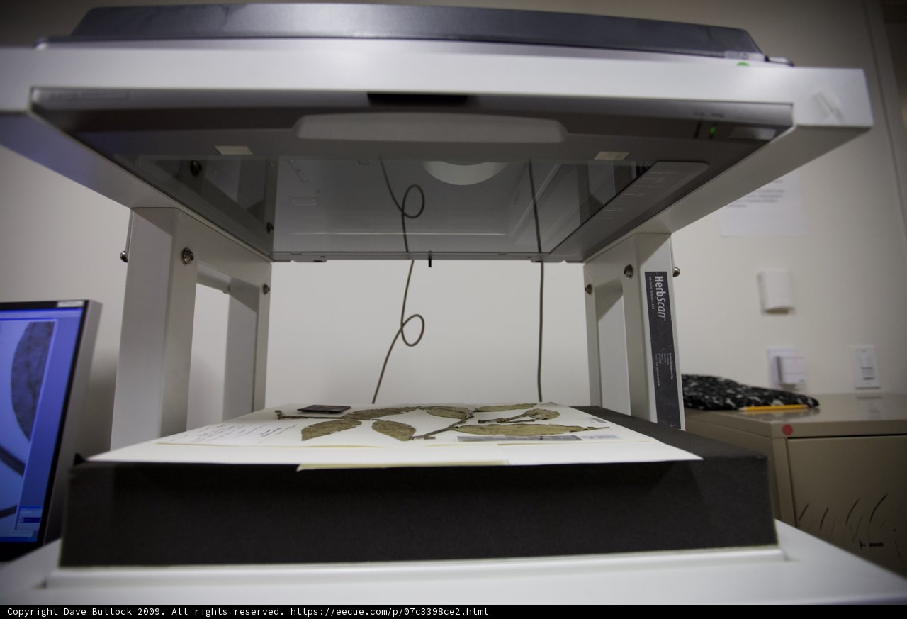 Printer on Table