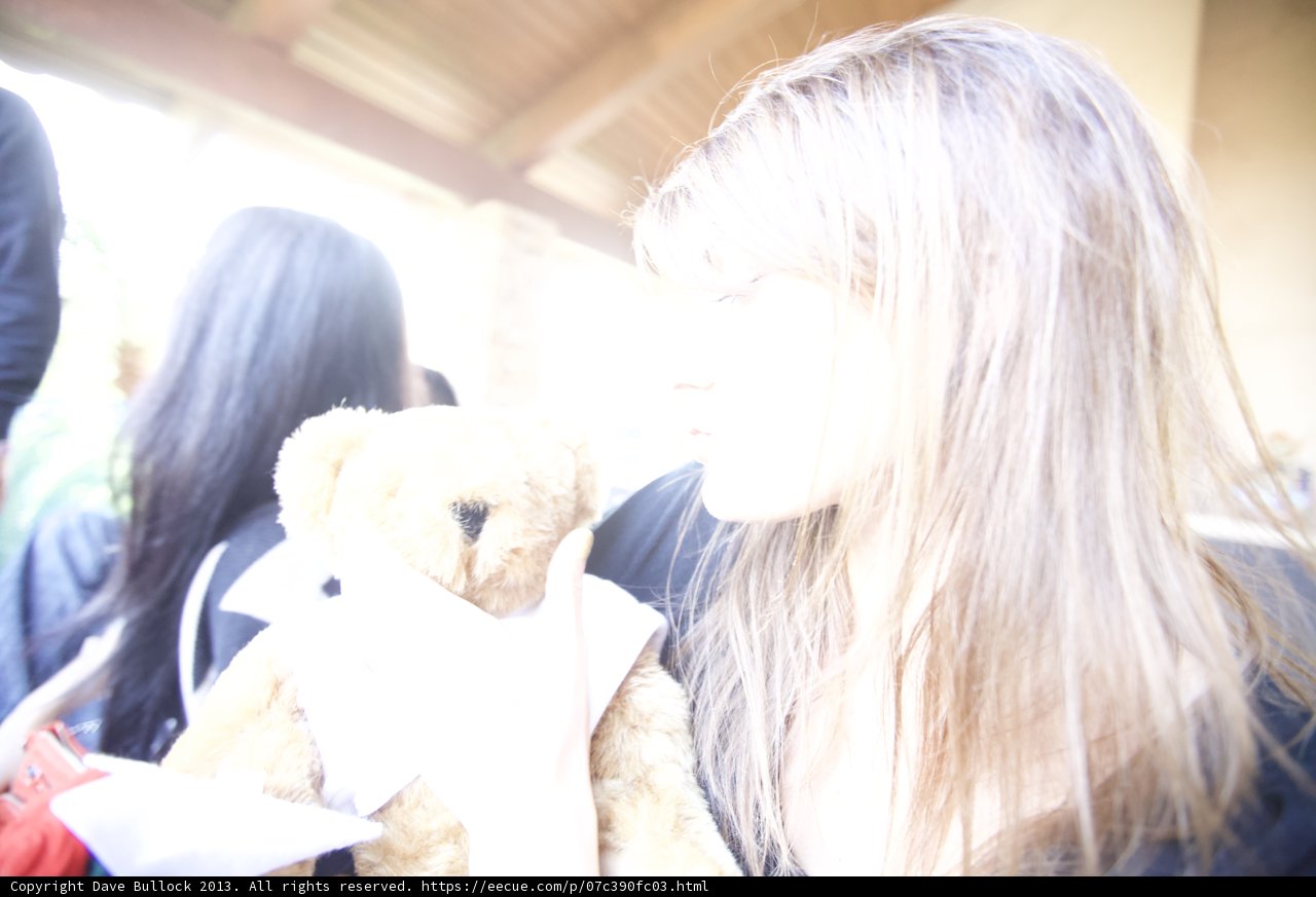 Coachella Cutie with Her Teddy Bear