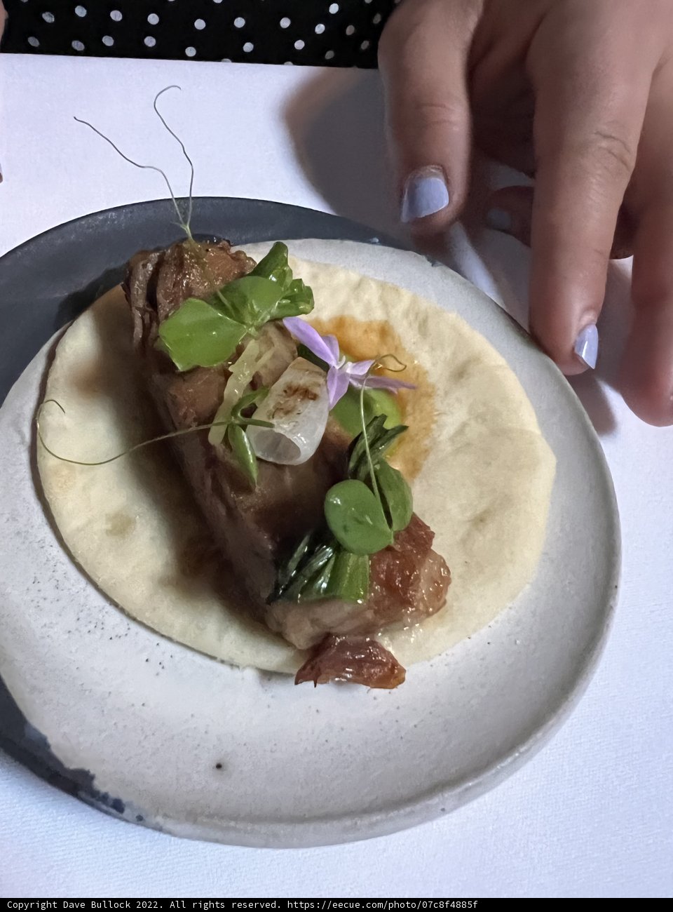 Taco Delight