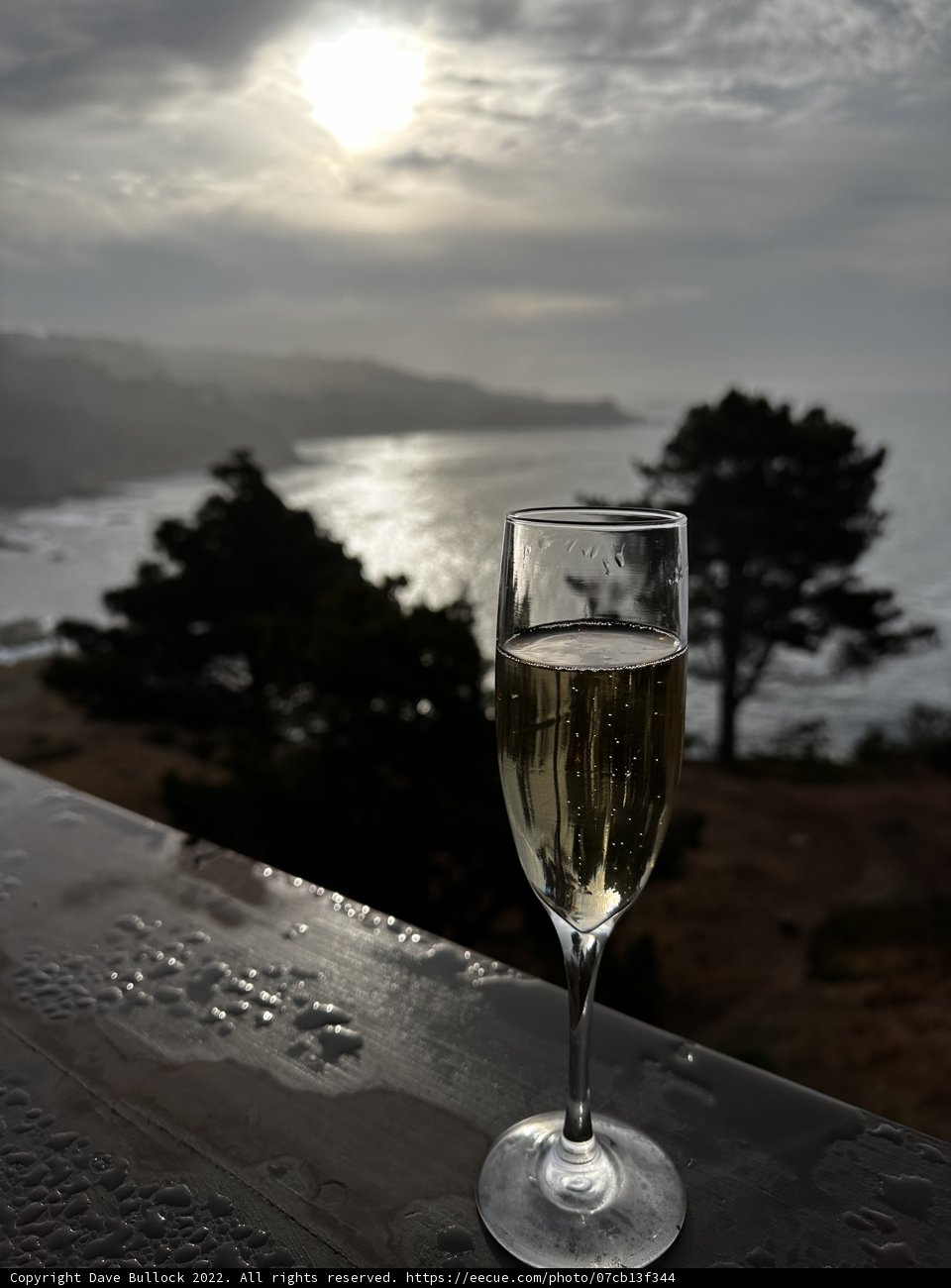 Ocean View Champagne Toast