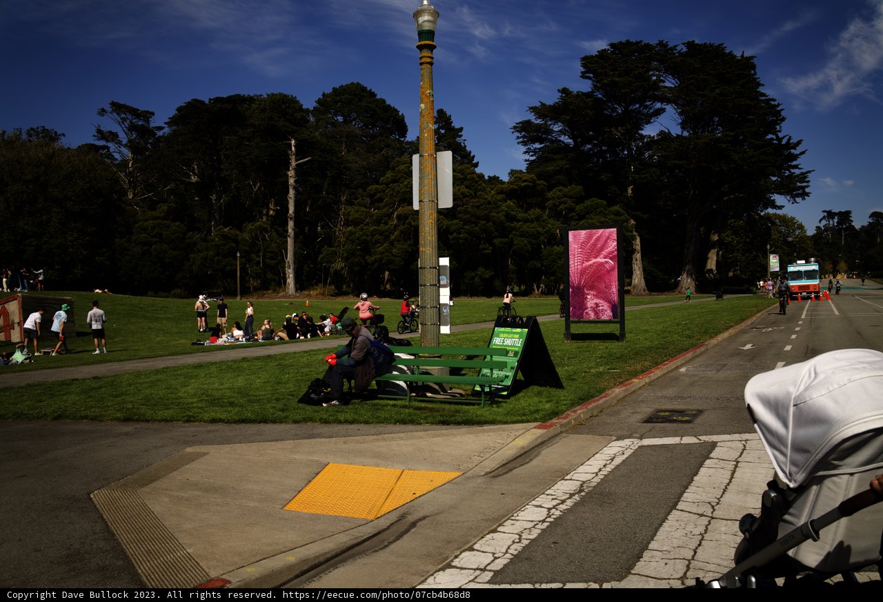 Unexpected Joys: A Day at Golden Gate Park