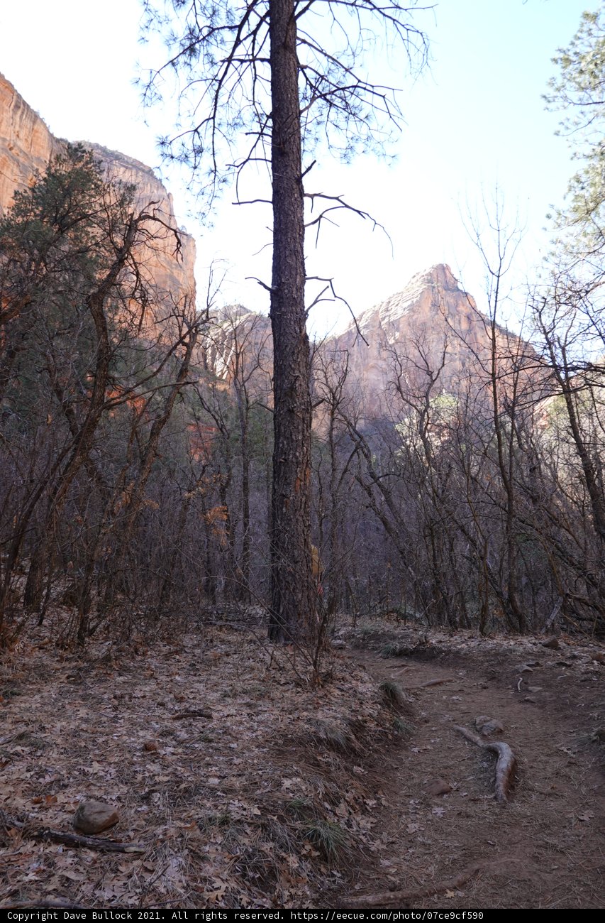The Majestic Trail in the Heart of the Mountains