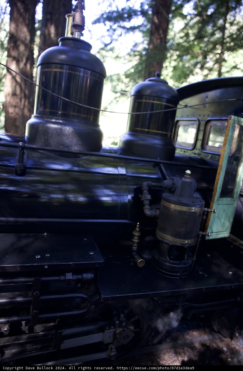 Mechanical Marvel: Up Close with a 2024 Tilden Train