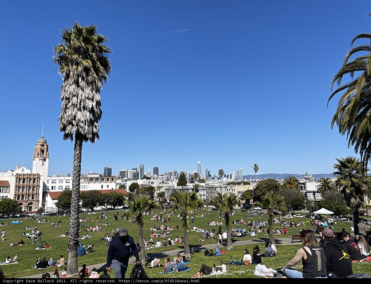Palm Trees and Cityscape at Mission Dolores Park