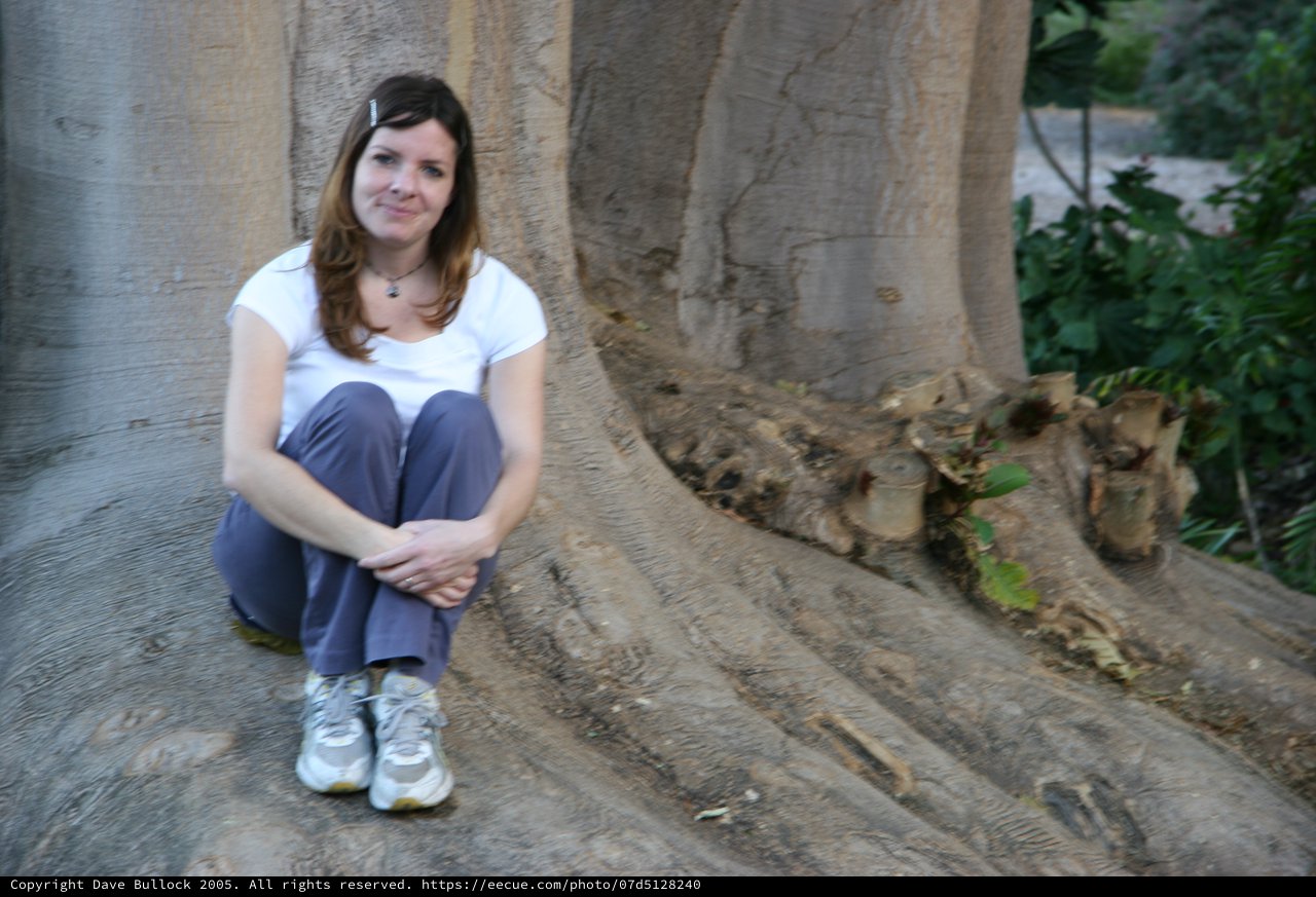 Woman Resting at the Base of a Massive Tree