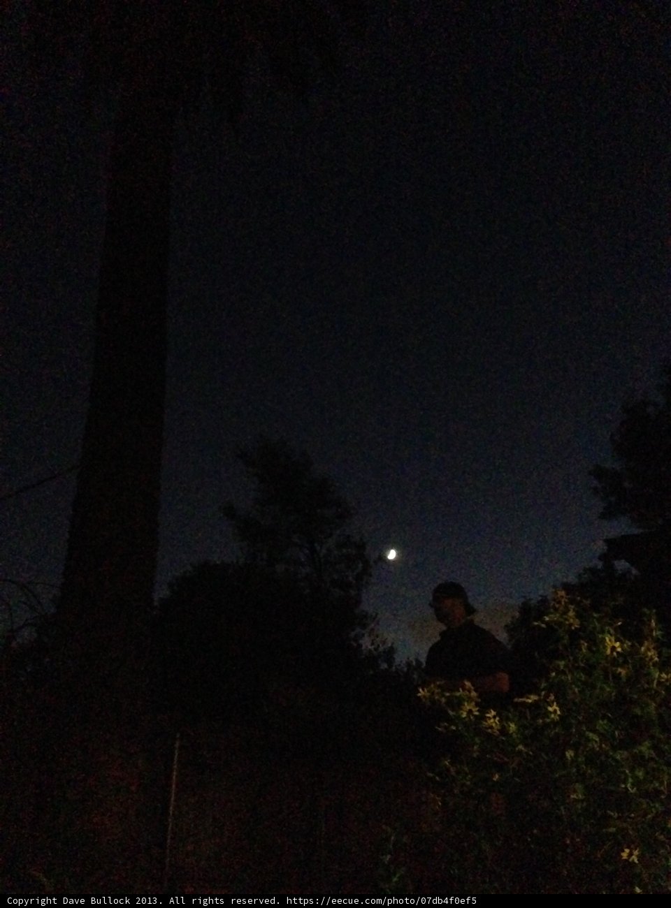 Night under the stars