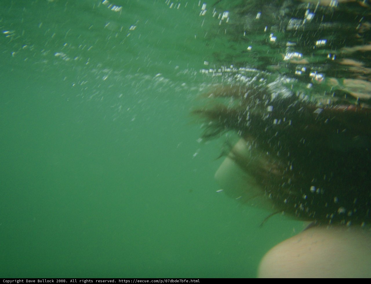 Submerged Serenity