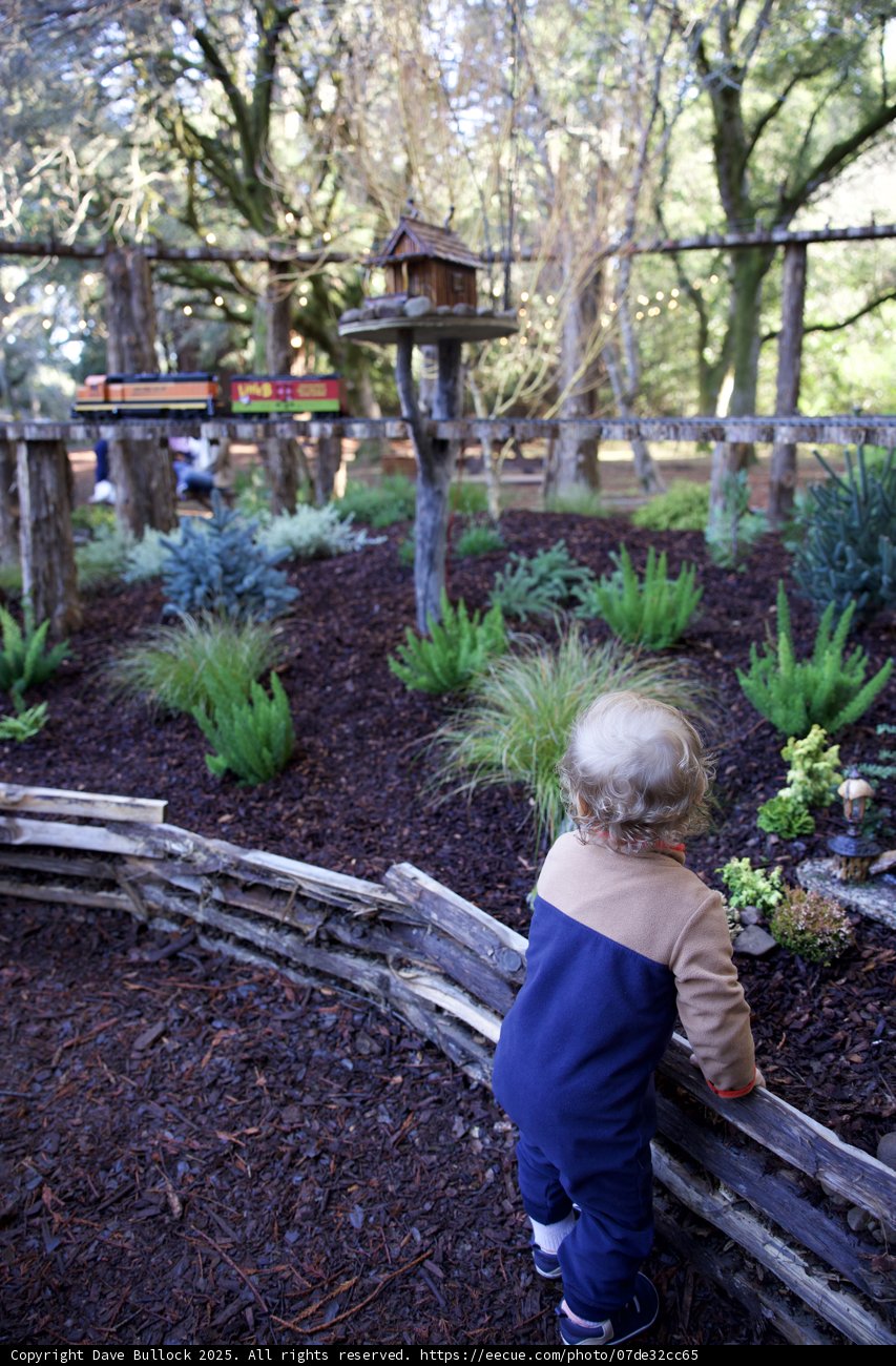 A Child's Wonder in the Garden