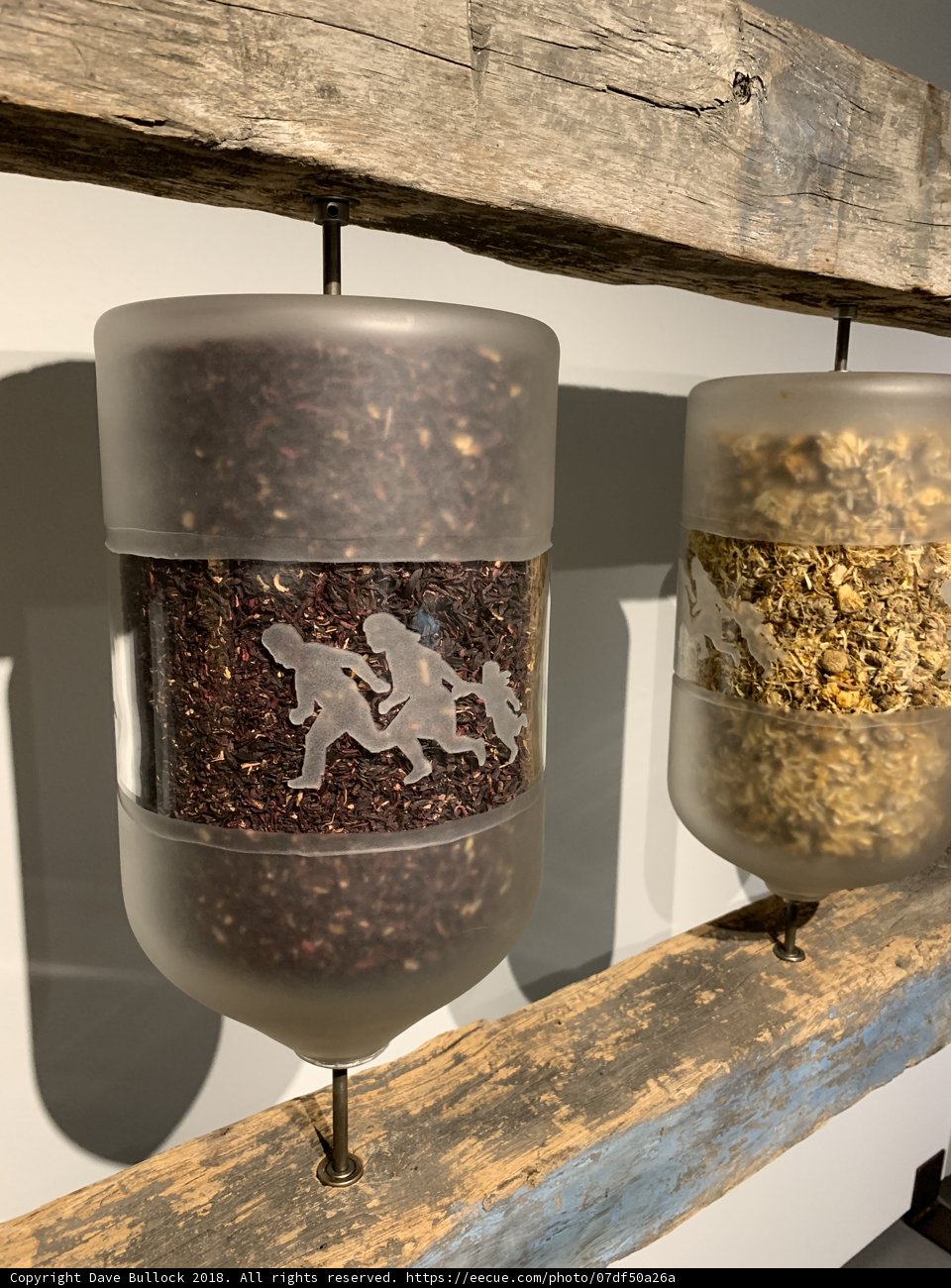 Harvest on a Wooden Shelf