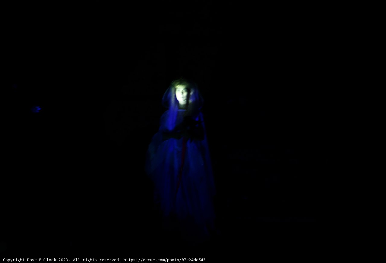 Enchanting Encounter at Disneyland