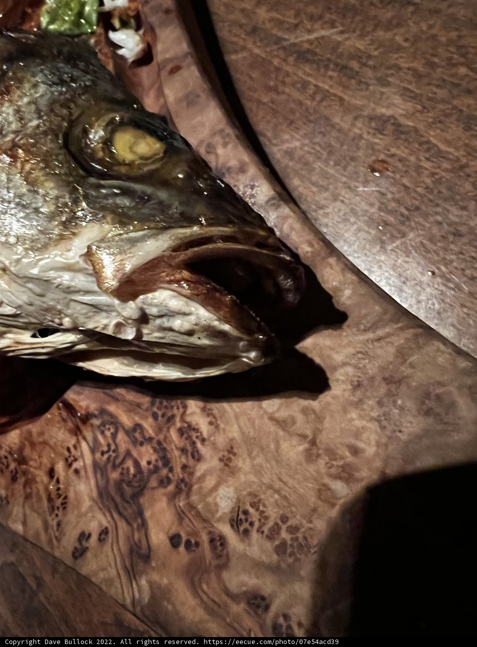 Fresh Catch at Disney Springs