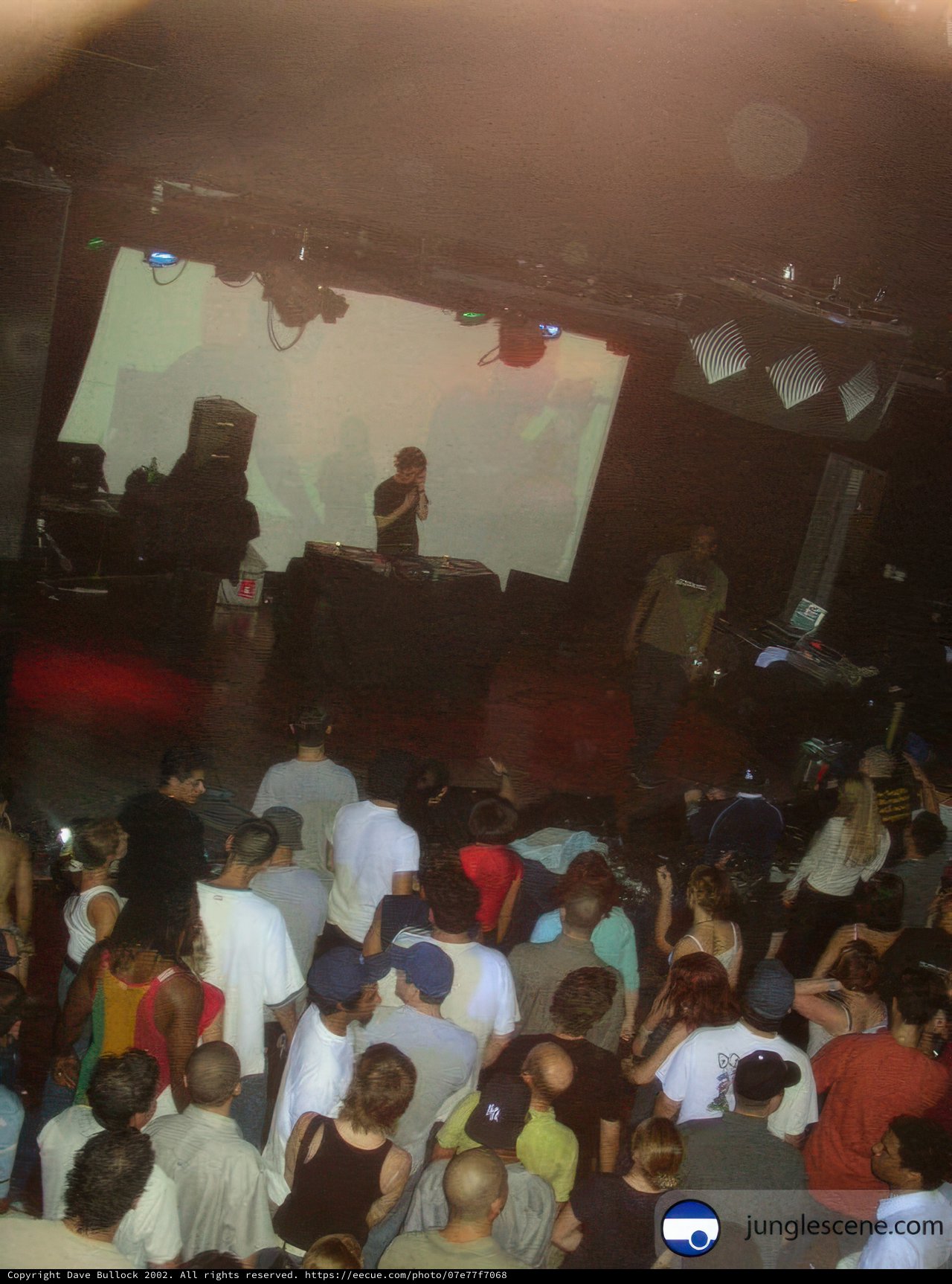 Nightclub Audience Grooving to the Sound