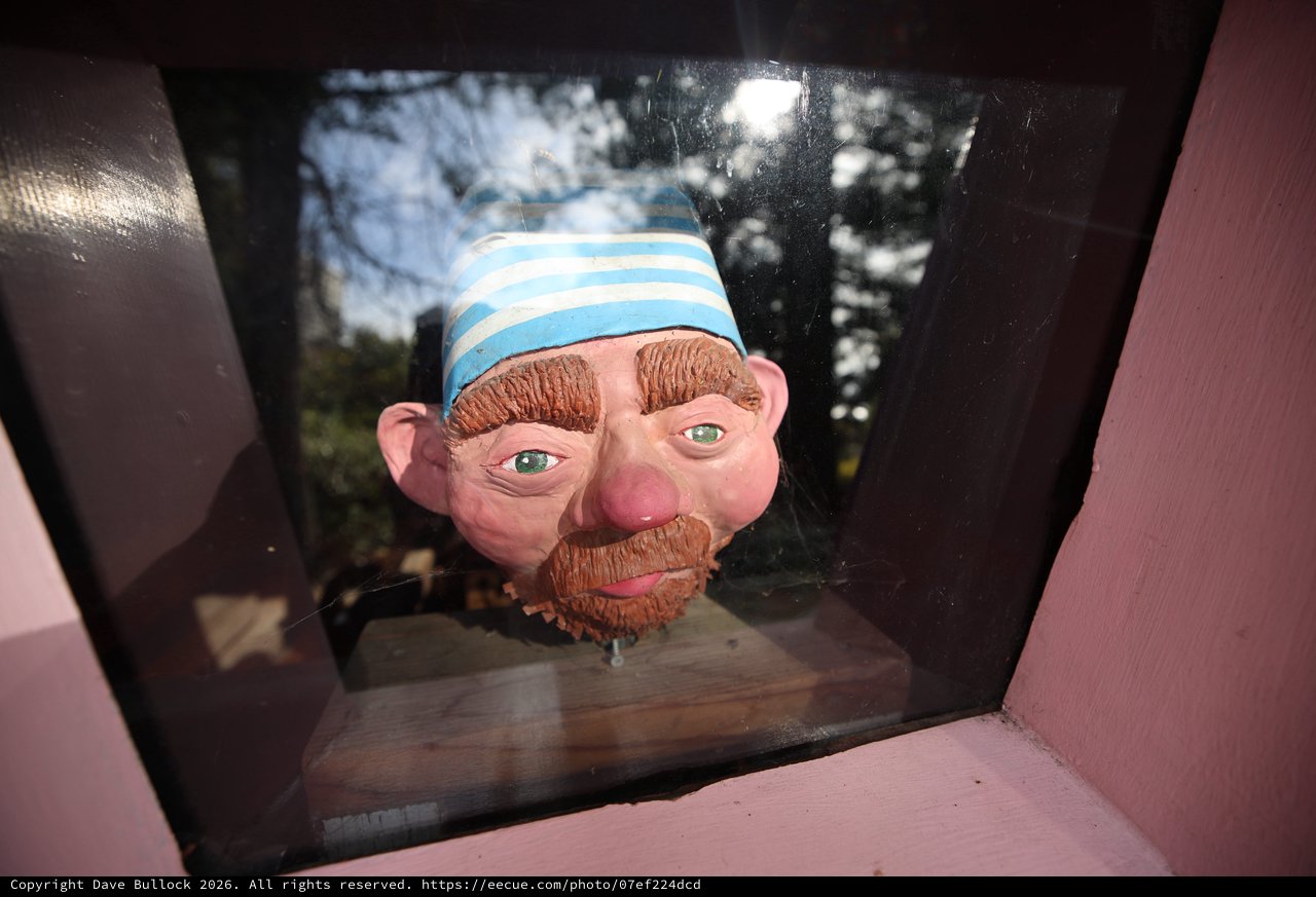 Whimsical Character Head Display in Pink Frame