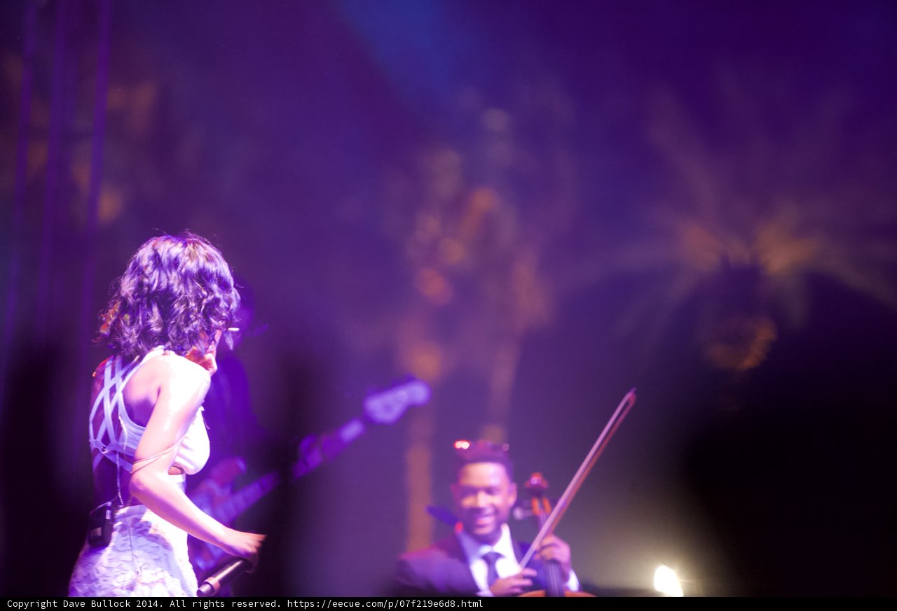 White Dress Serenade