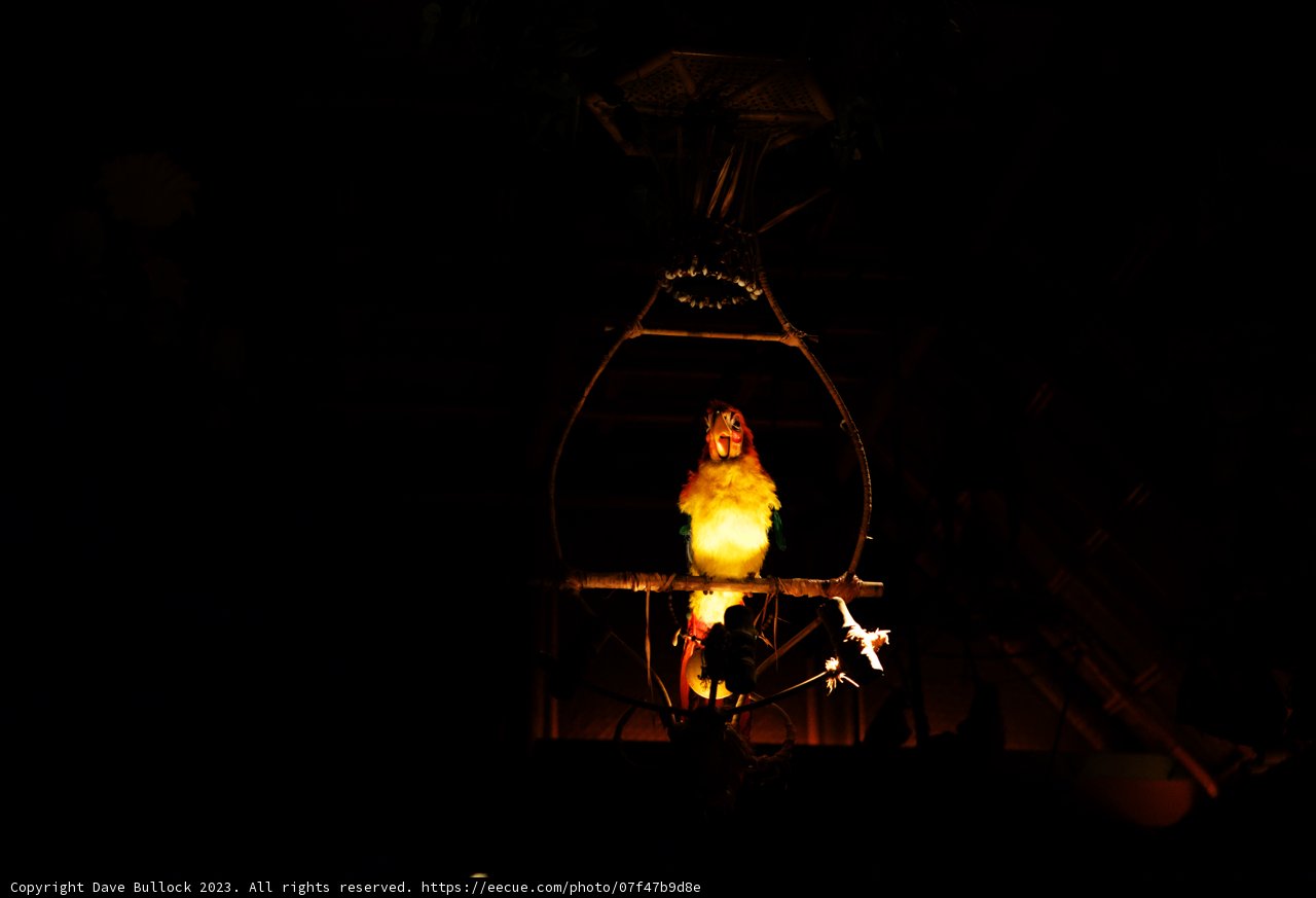 Enchanting Illuminated Birdcage
