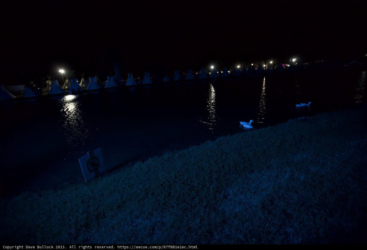 Nighttime Ducks on the Water