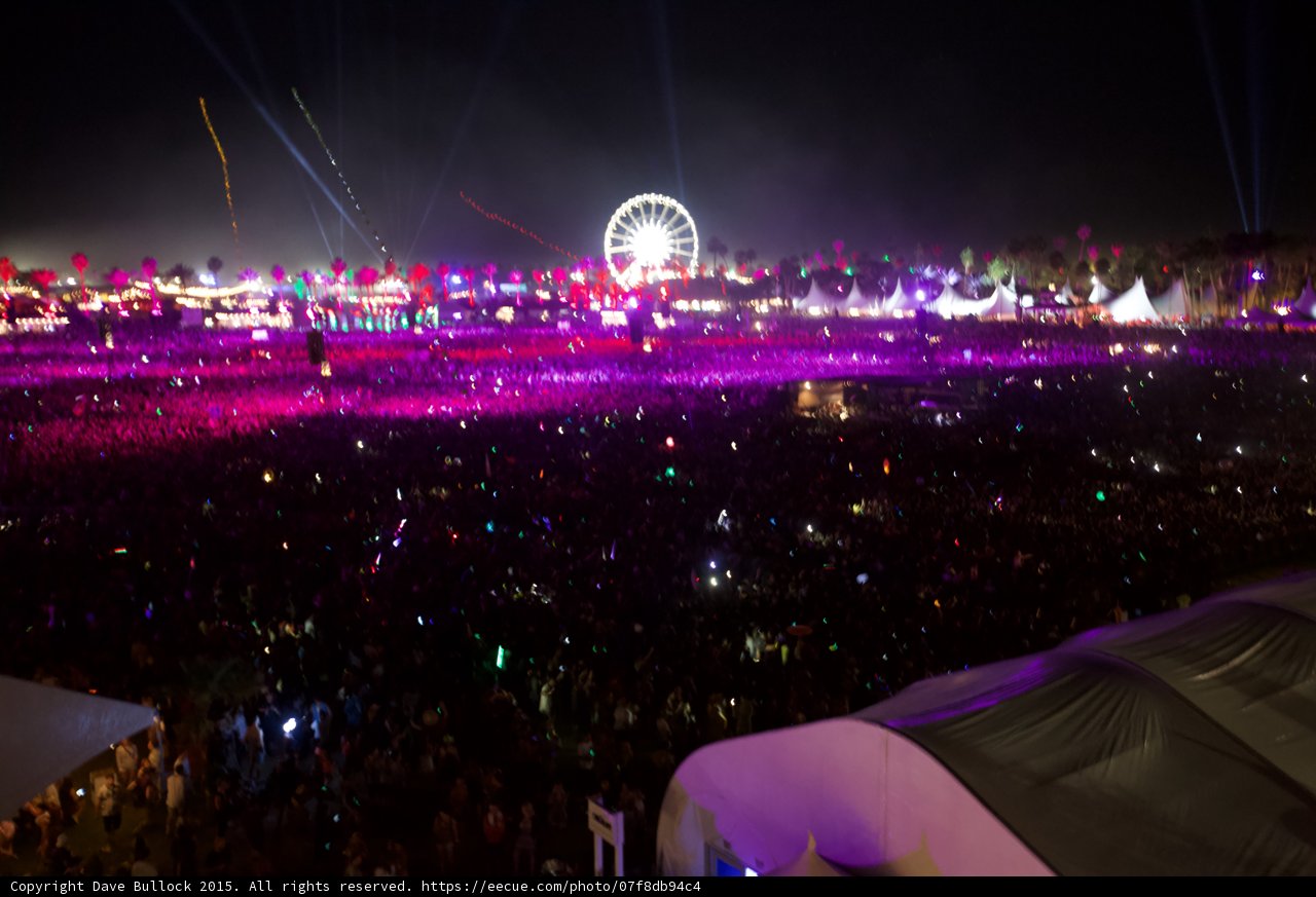 Night at the Festival