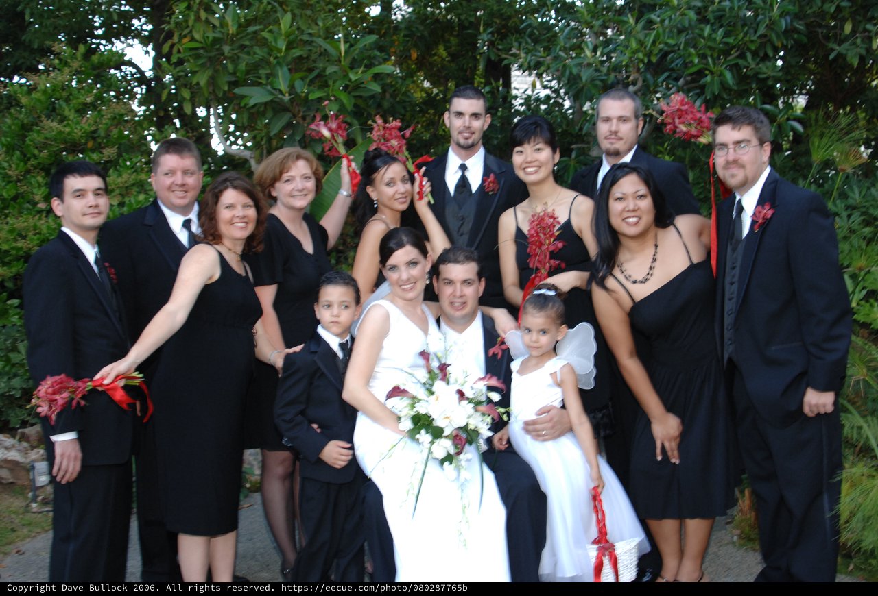 Black and White Wedding Party Portrait Outdoors