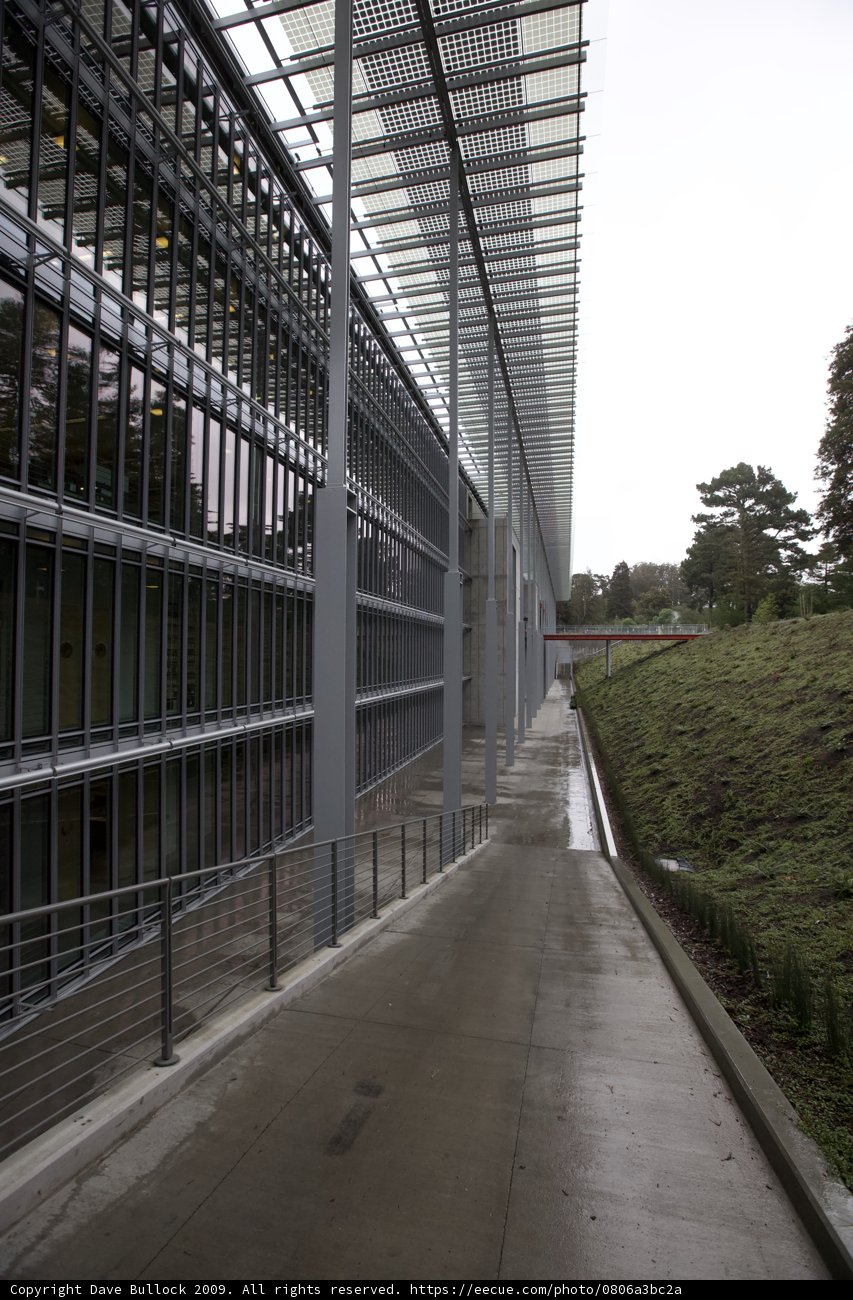 City Walkway with Glass Office Building