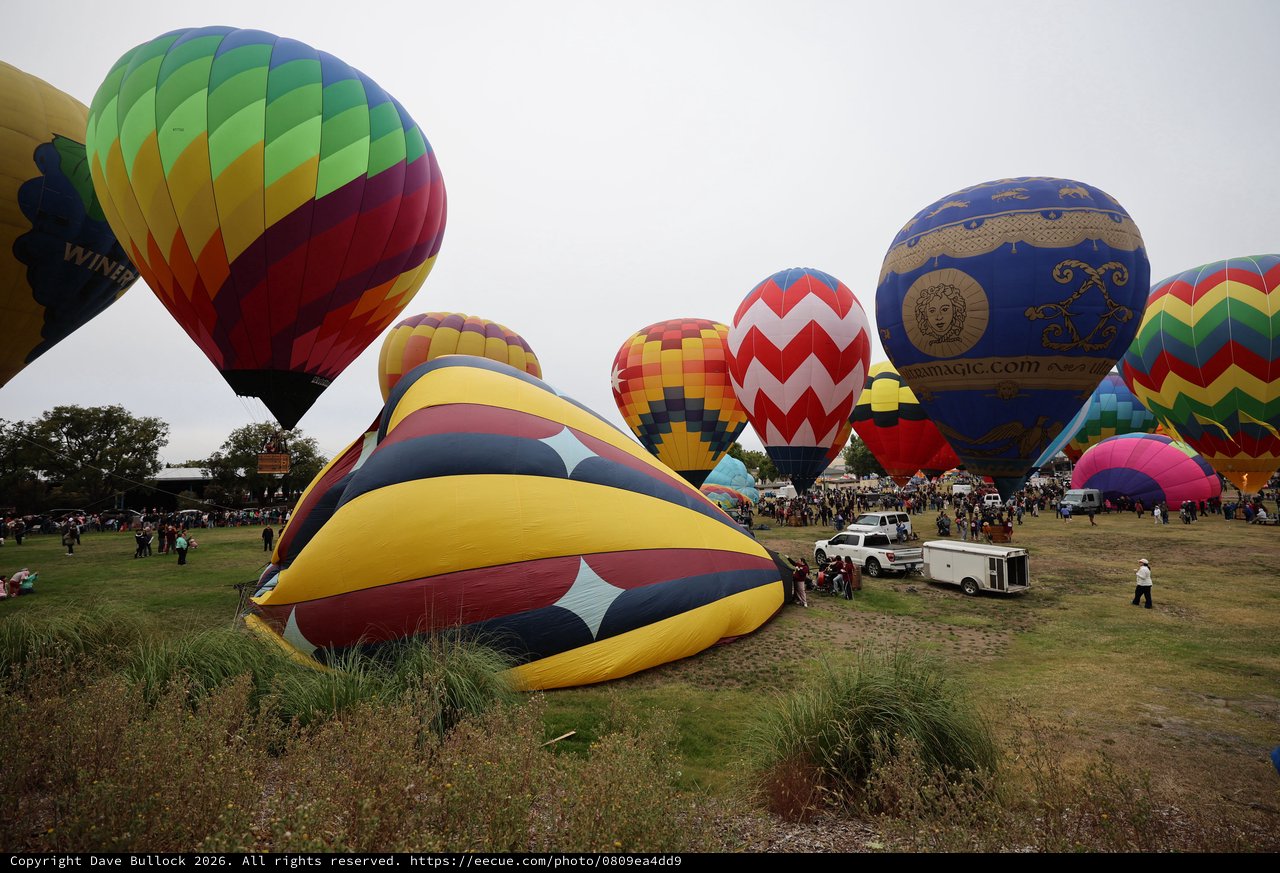 Colorful Hot Air Balloons Fill the Sky at Classic