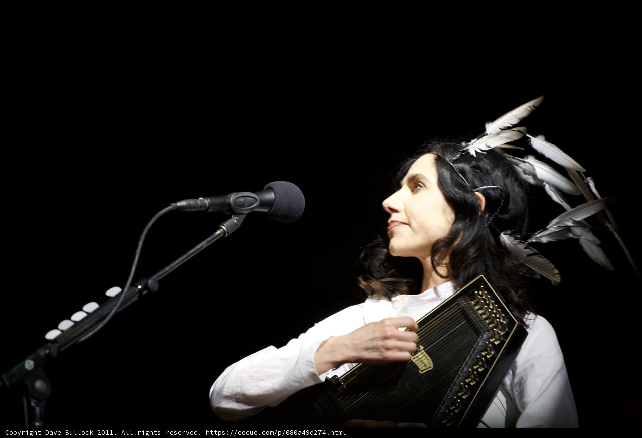 Feathered Songstress