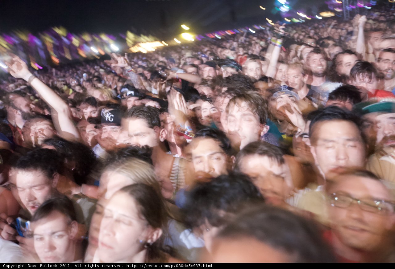 Coachella 2012: Electric Crowd Vibes