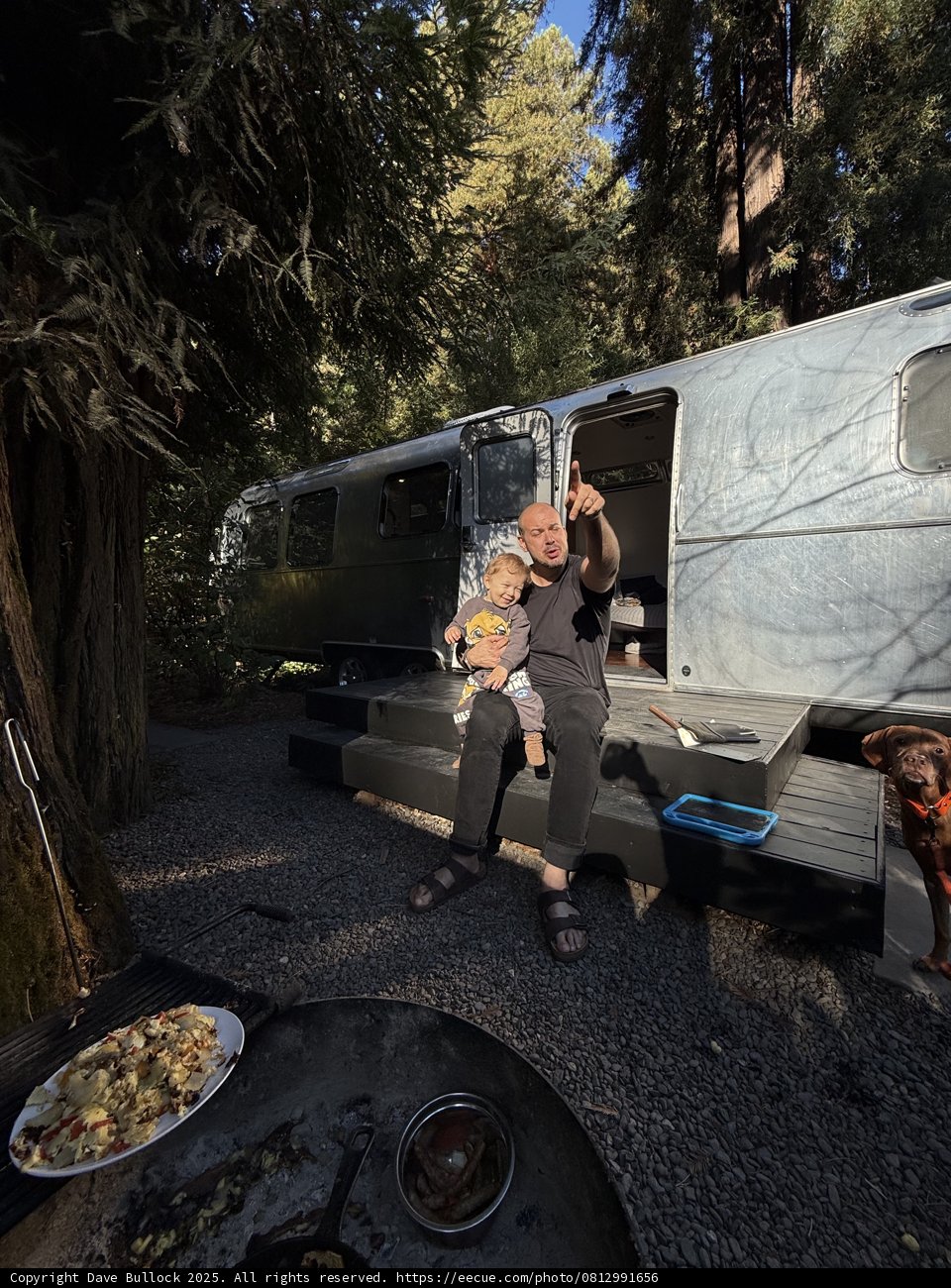 Morning Moments in the Redwoods