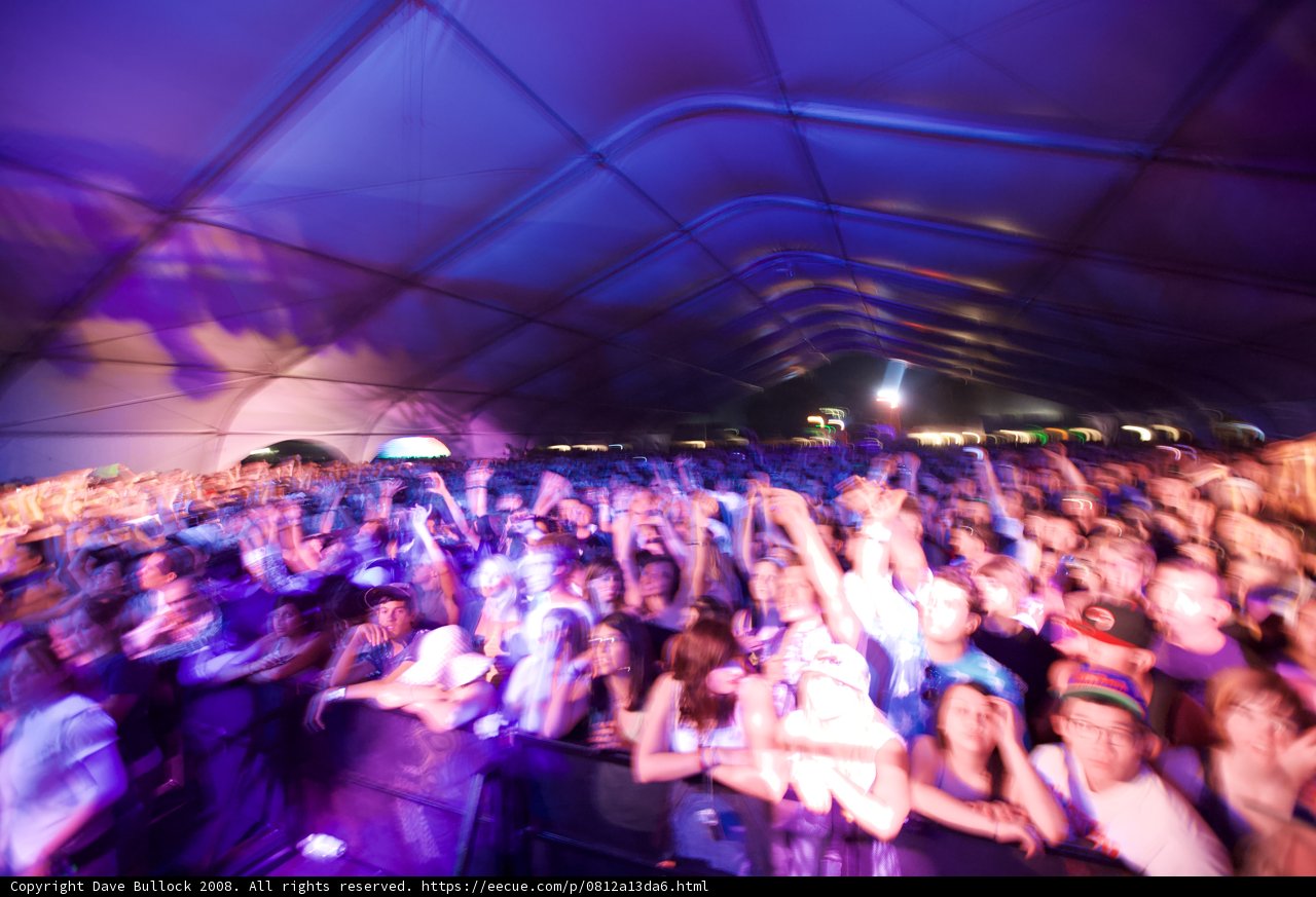 High Voltage Crowd at 2008 Coachella