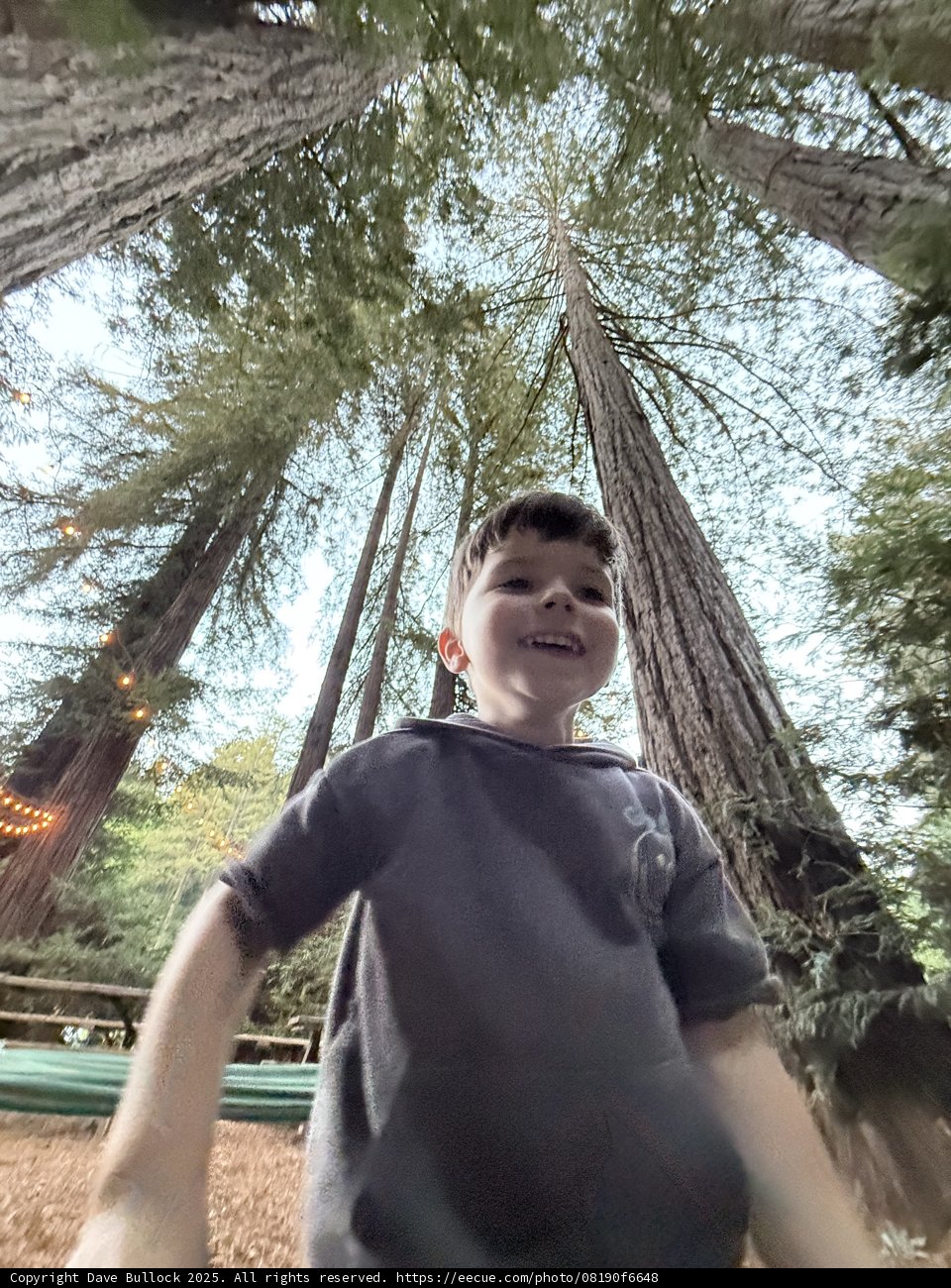 Towering Giants and Joyful Smiles