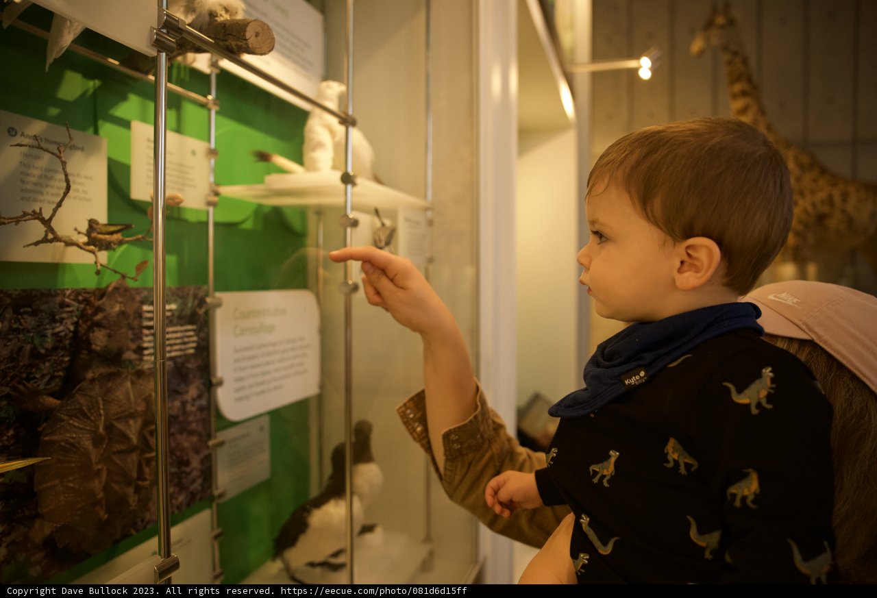 Enlightening Discoveries at the Museum
