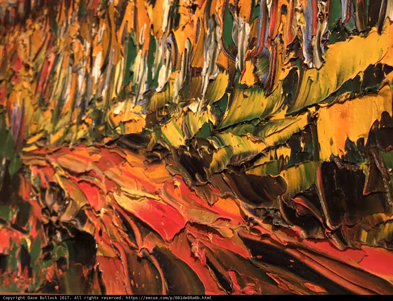 Burst of Colors