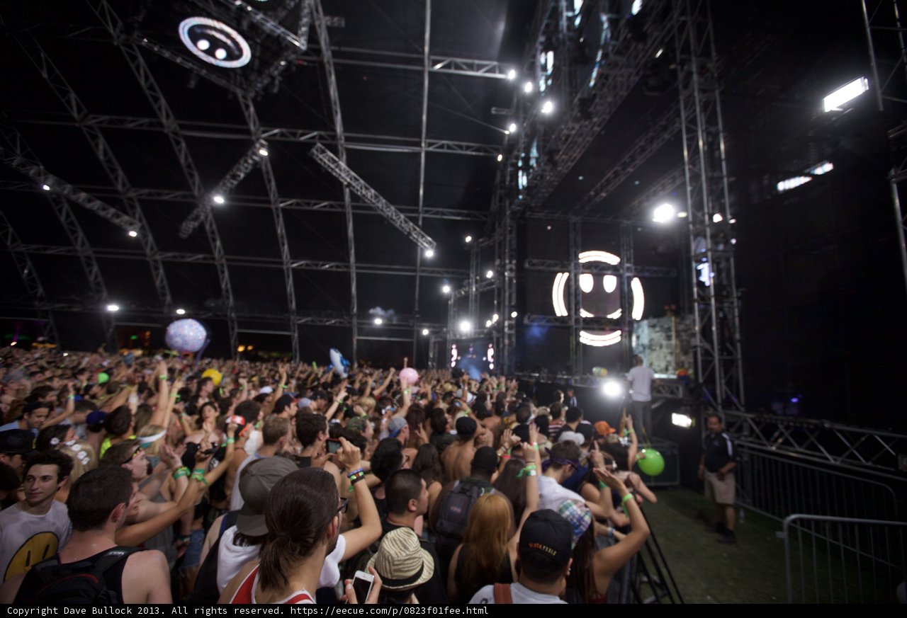 Coachella Concert Crowd