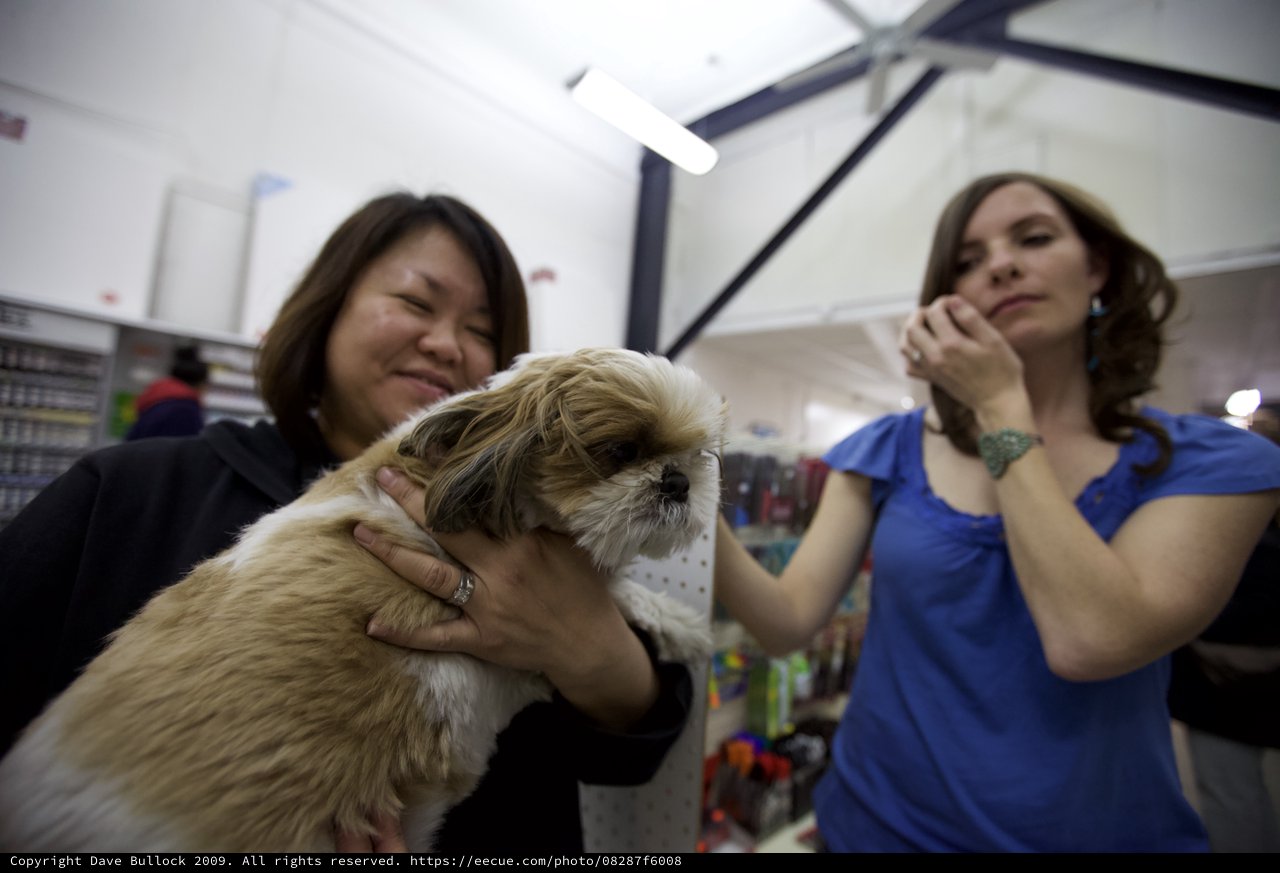 Two Women Delight Over Fluffy Shih Tzu Puppy