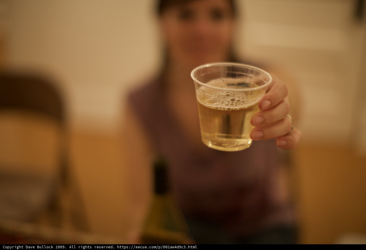 A Toast to the Night