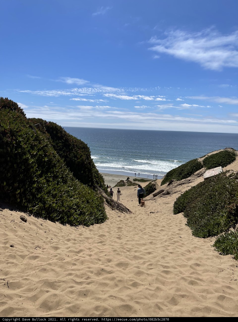 Path to the Ocean