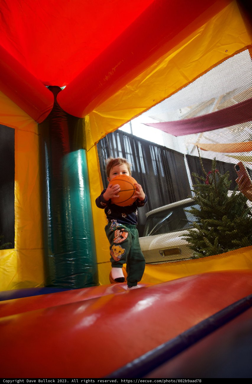 Expressions of Joy: Fort Mason Playground Chronicles