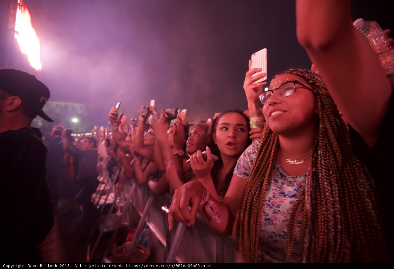 FYF Fest Front Barrier Women Box Braids Glasses Floral Shirt Gold Necklace Phone Grid Case Purple Smoke Pyrotechnics
