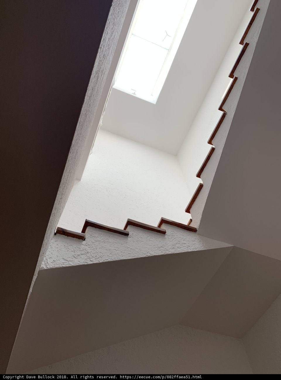 A Glimpse of Natural Light