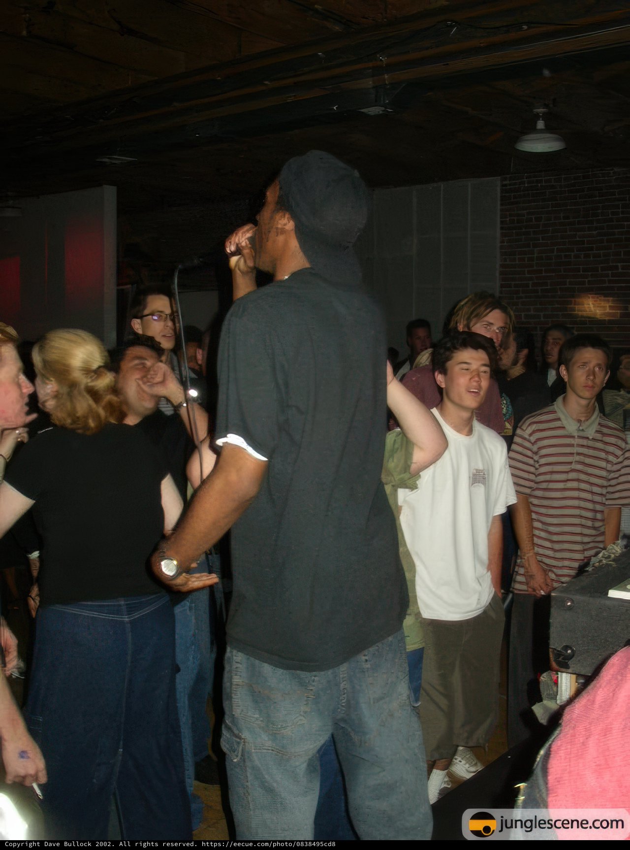 Nightclub Performer