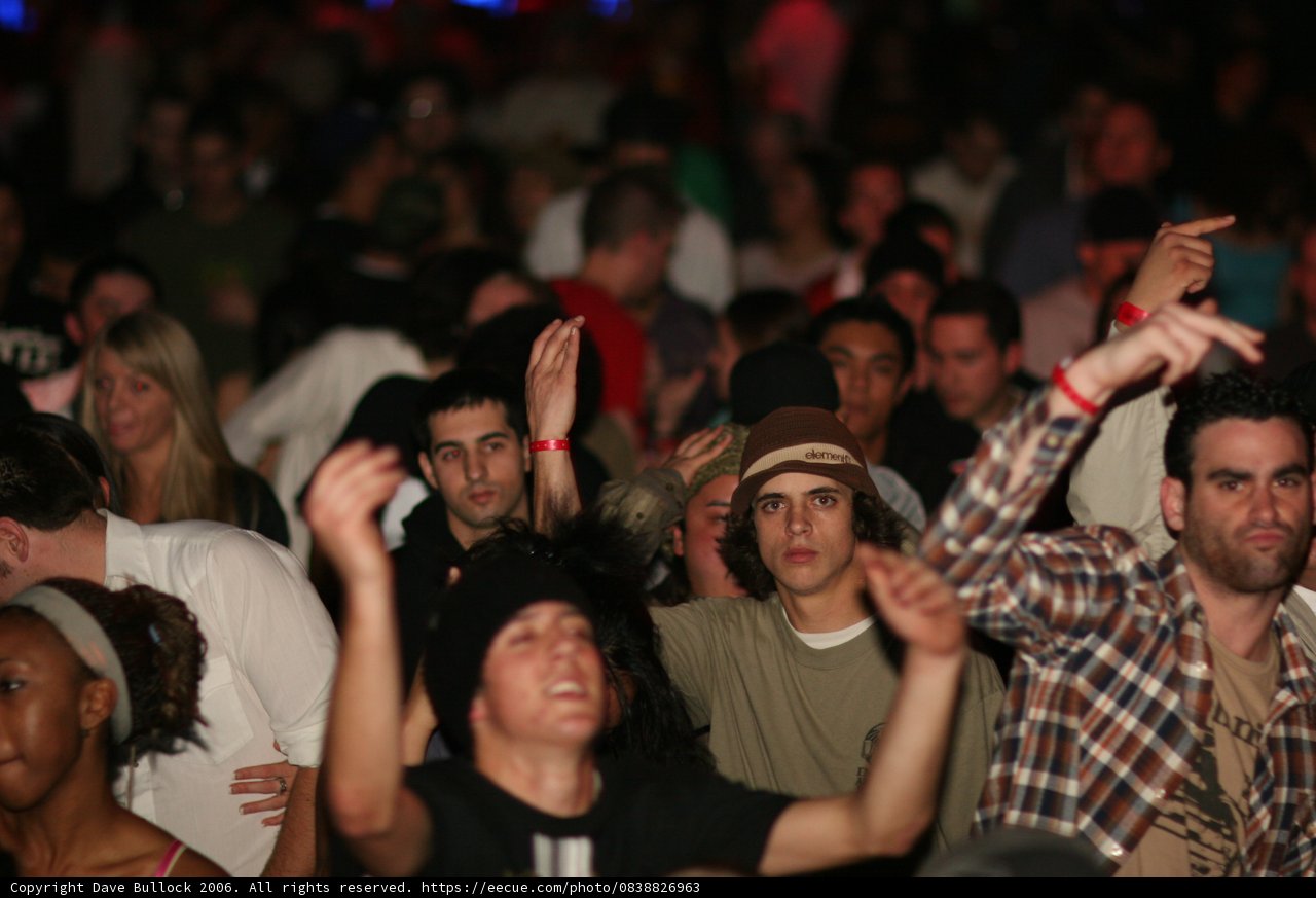 Urban Concert Crowd