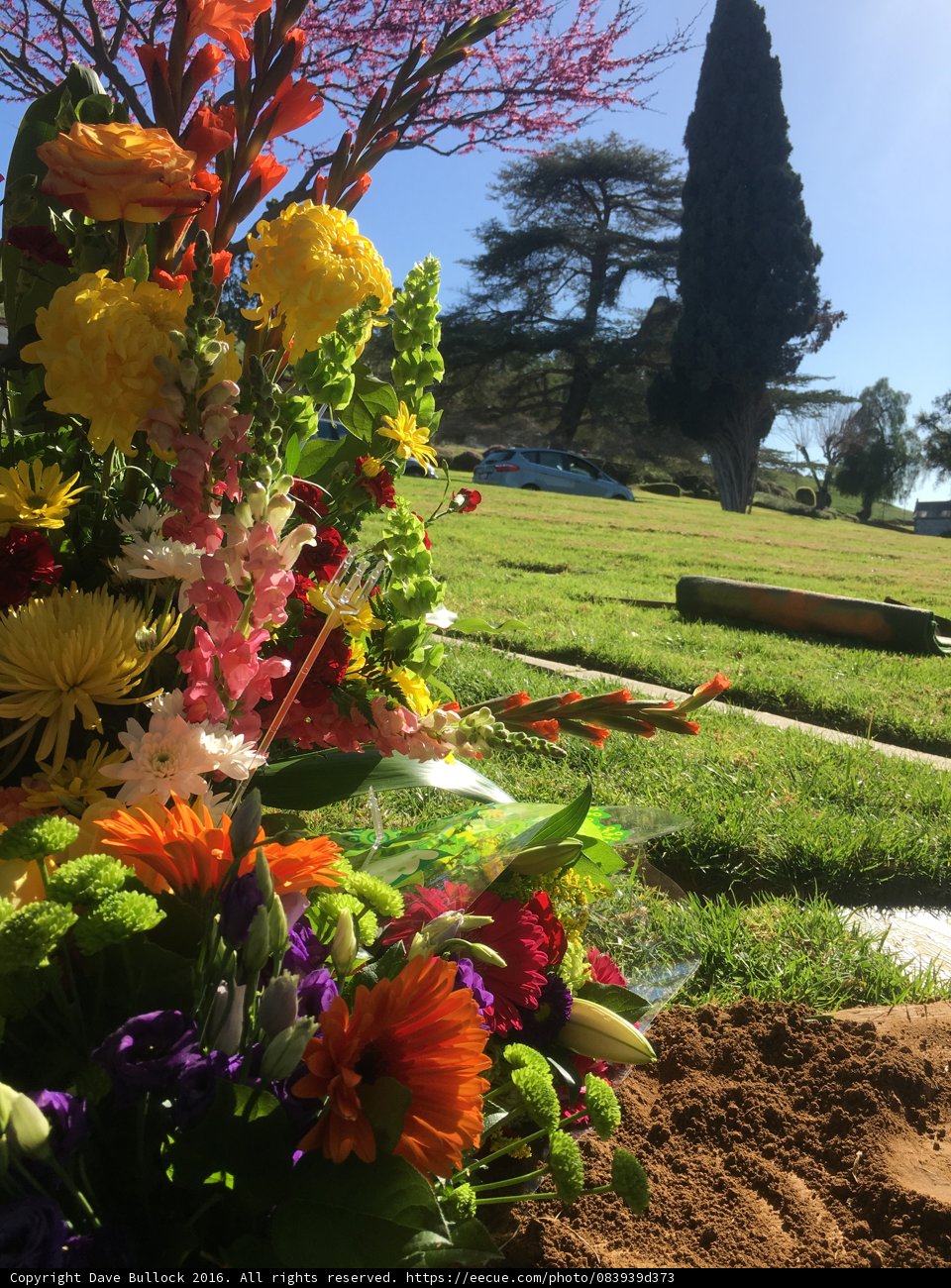 Honoring a Loved One